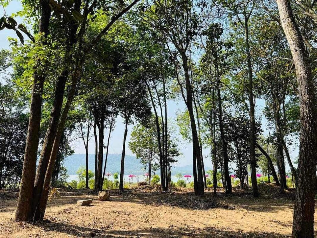 Công ty du lịch Vinh Tour Cần Thơ