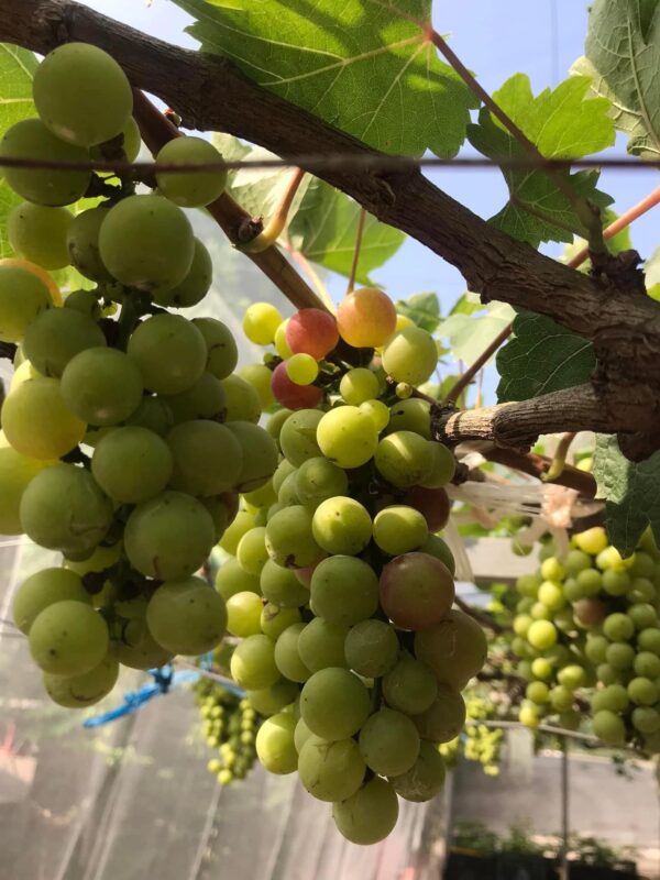Công ty du lịch Vinh Tour Cần Thơ