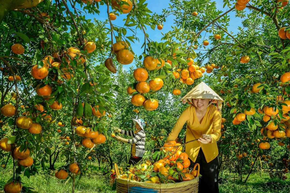 Công ty du lịch Vinh Tour Cần Thơ