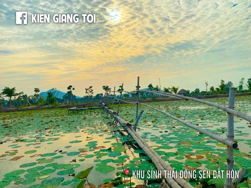 Công ty du lịch Vinh Tour Cần Thơ