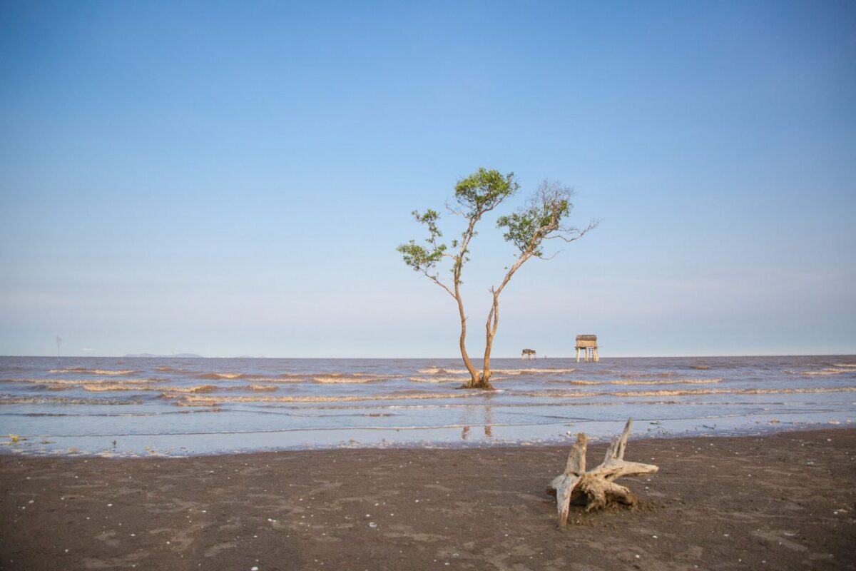 Công ty du lịch Vinh Tour Cần Thơ
