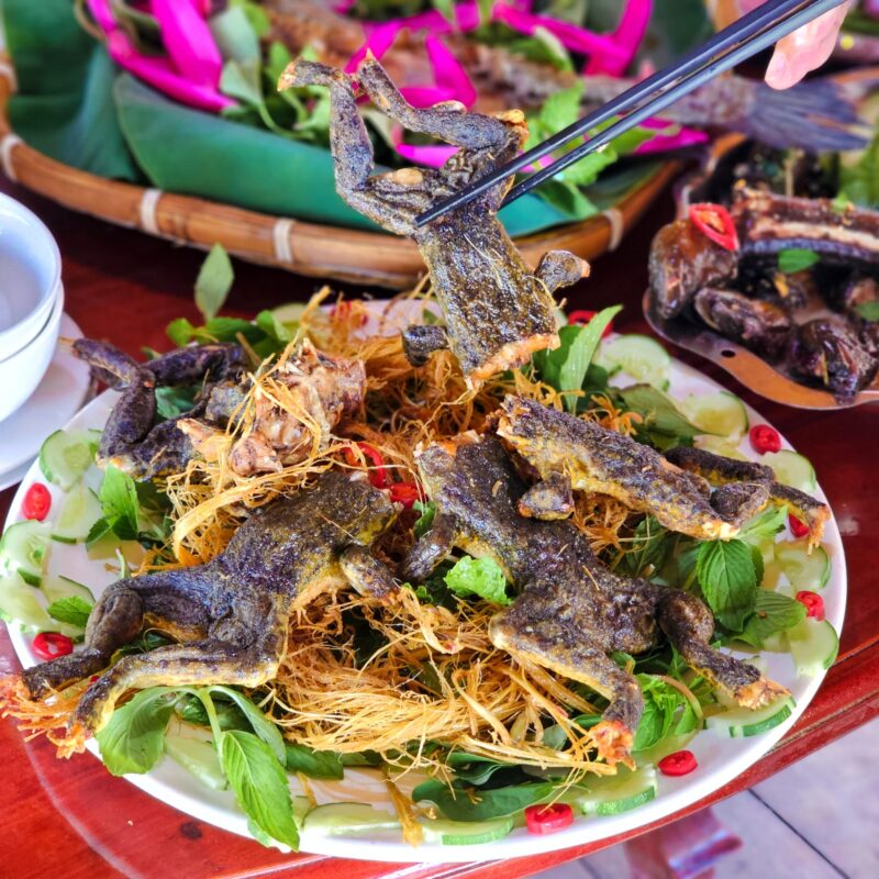 Công ty du lịch Vinh Tour Cần Thơ