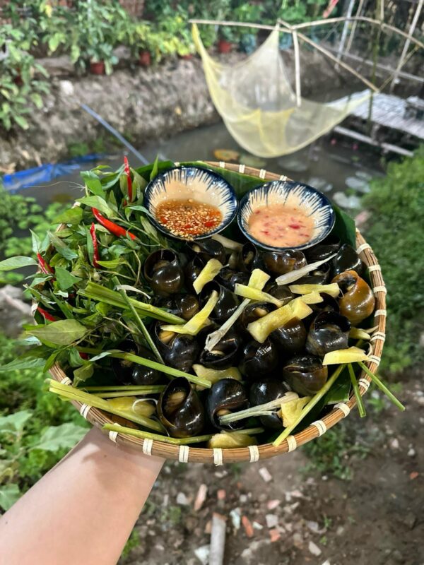 Công ty du lịch Vinh Tour Cần Thơ