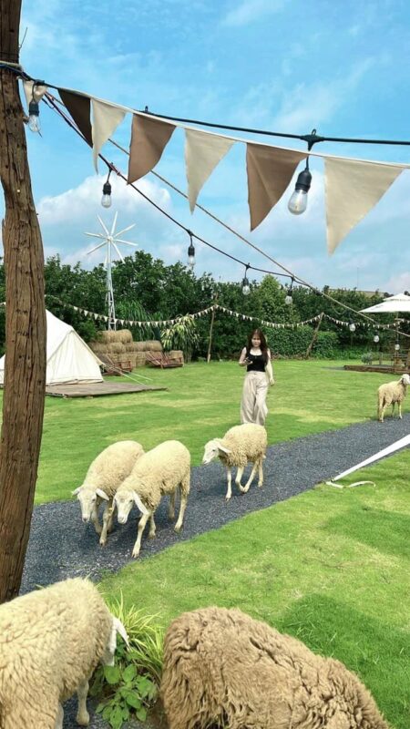 Công ty du lịch Vinh Tour Cần Thơ