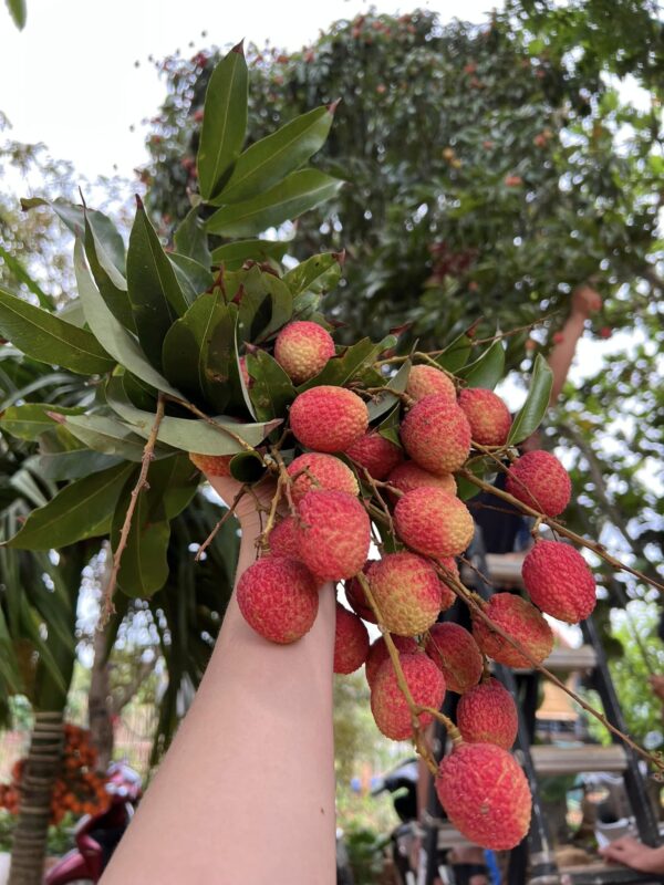 Công ty du lịch Vinh Tour Cần Thơ