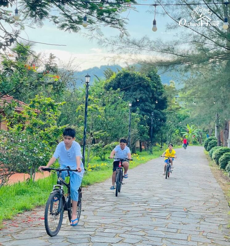 Công ty du lịch Vinh Tour Cần Thơ