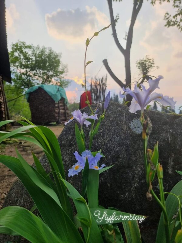 Công ty du lịch Vinh Tour Cần Thơ