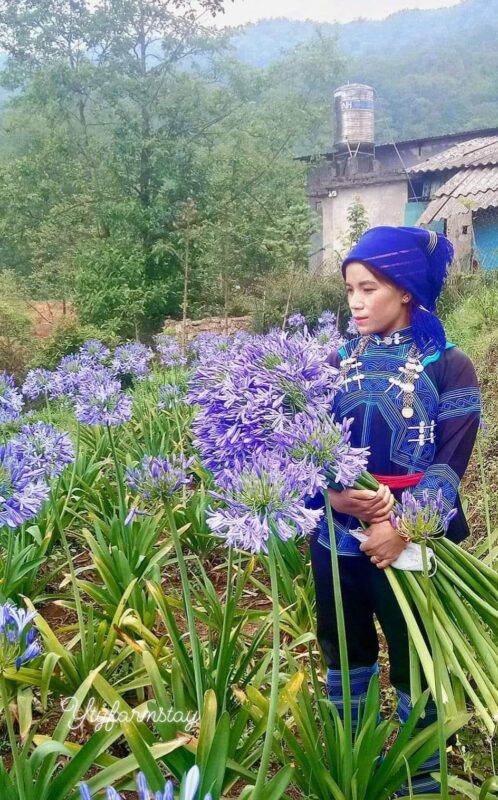 Công ty du lịch Vinh Tour Cần Thơ
