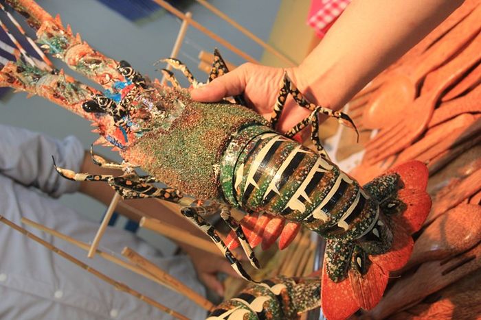 VT_Đảo Bình Hưng (Cam Ranh) 12