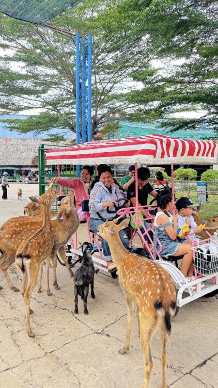 Công ty du lịch Vinh Tour Cần Thơ