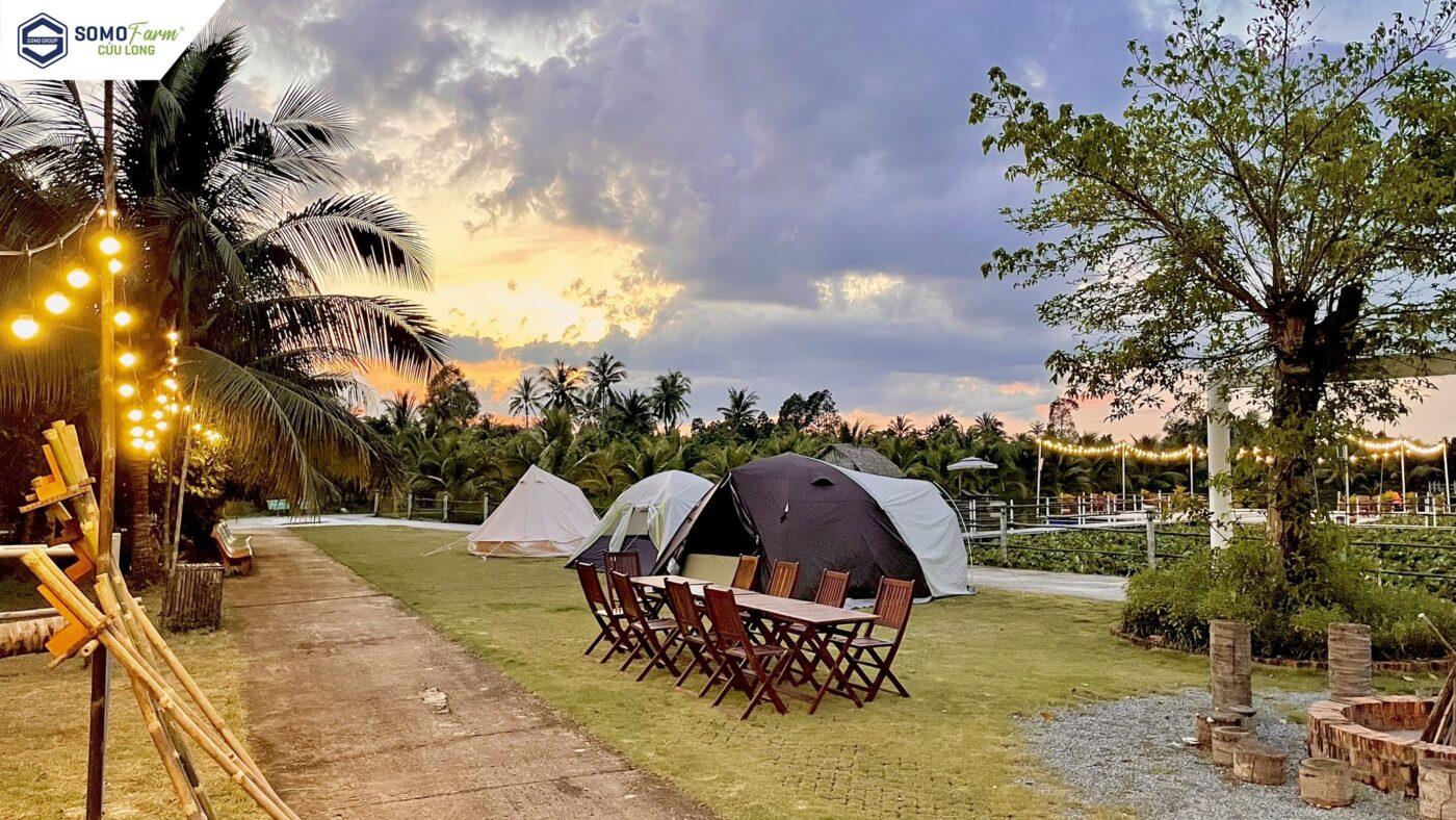 Công ty du lịch Vinh Tour Cần Thơ