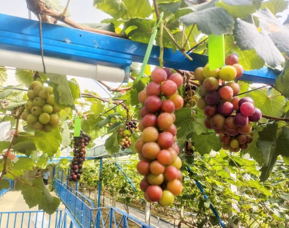 Công ty du lịch Vinh Tour Cần Thơ