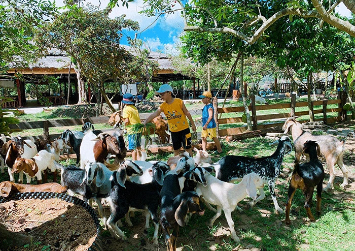 Công ty du lịch Vinh Tour Cần Thơ