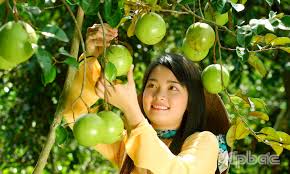Công ty du lịch Vinh Tour Cần Thơ