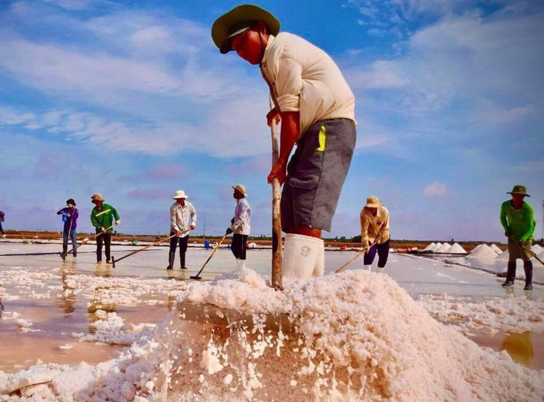 Công ty du lịch Vinh Tour Cần Thơ