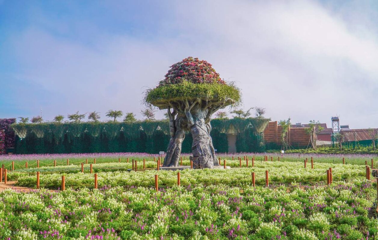 Công ty du lịch Vinh Tour Cần Thơ