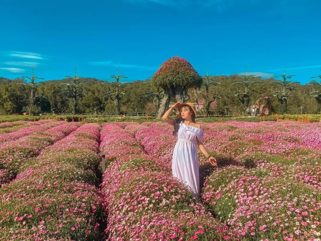 Công ty du lịch Vinh Tour Cần Thơ