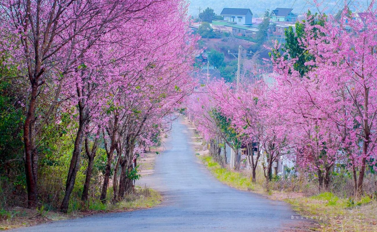 Công ty du lịch Vinh Tour Cần Thơ