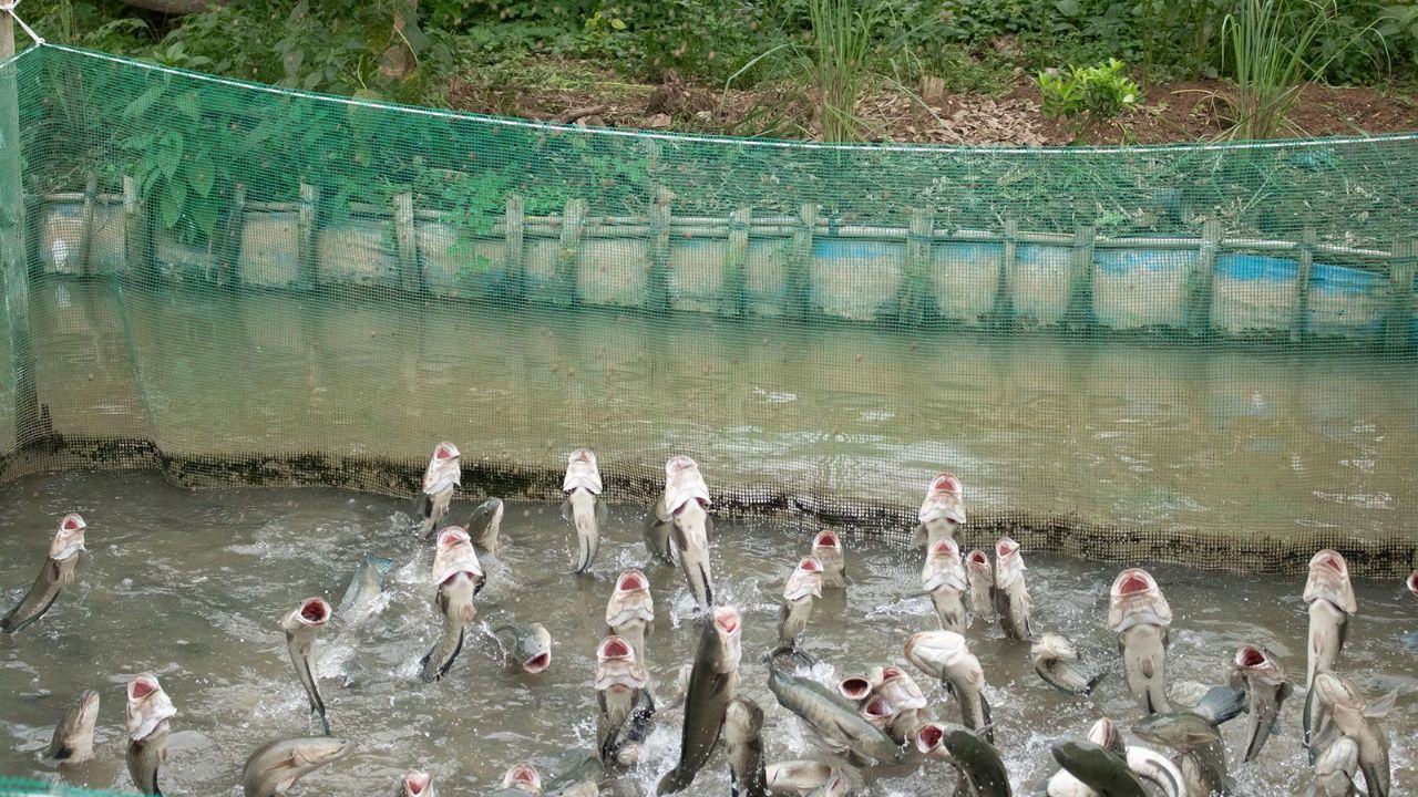 Công ty du lịch Vinh Tour Cần Thơ