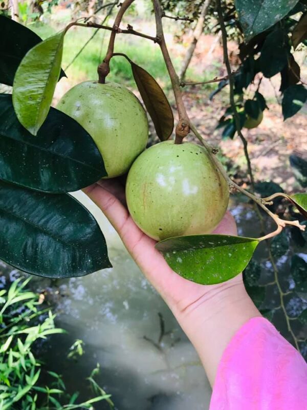 Công ty du lịch Vinh Tour Cần Thơ