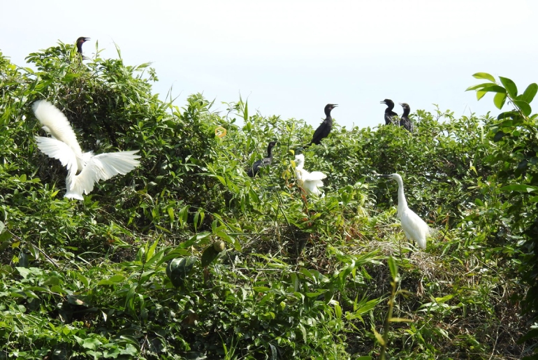 Công ty du lịch Vinh Tour Cần Thơ