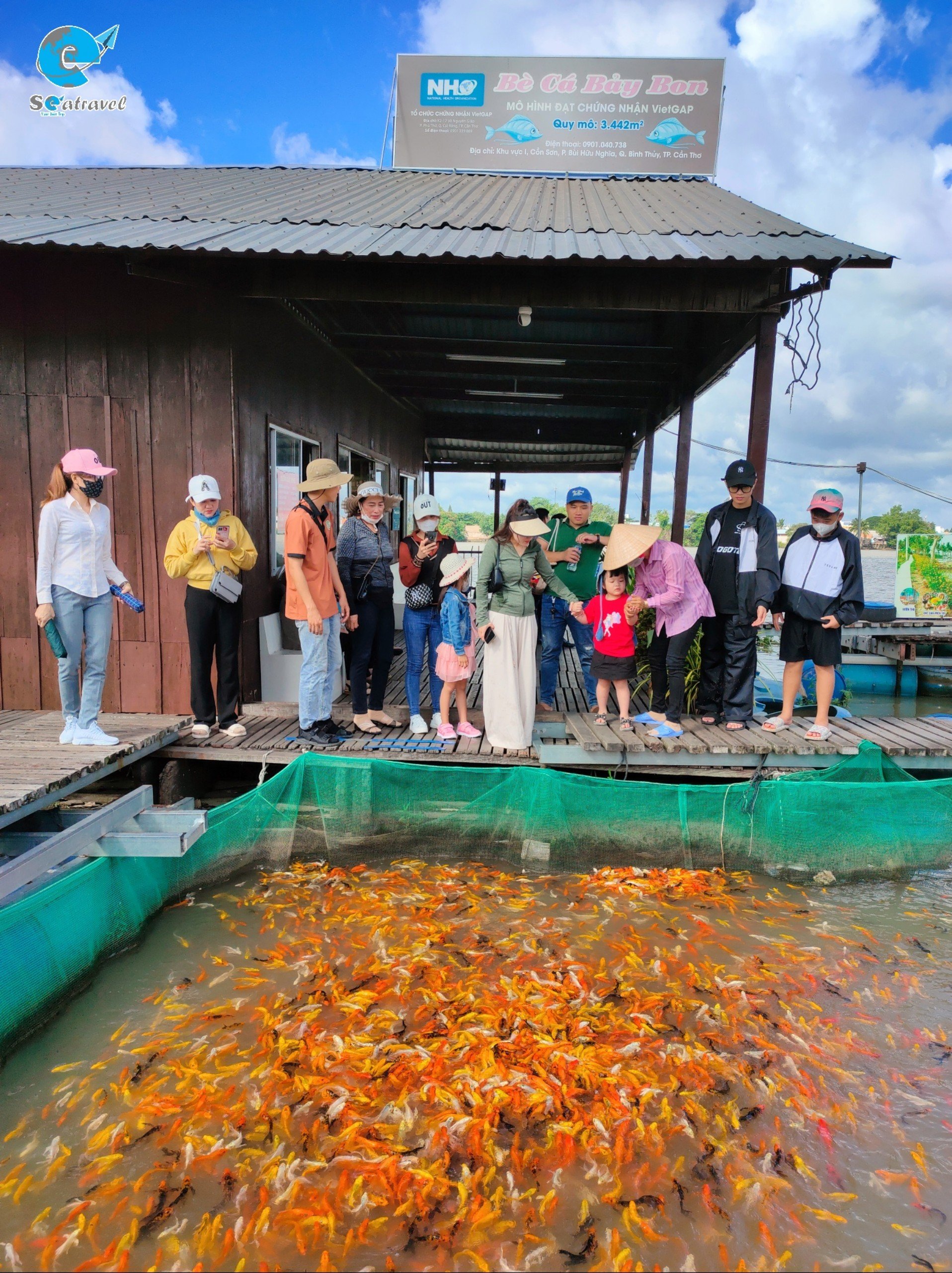 Khám Phá Tour Du Lịch Cồn Sơn Cần Thơ - Trải Nghiệm Ẩm Thực Đặc Sản Miền Tây