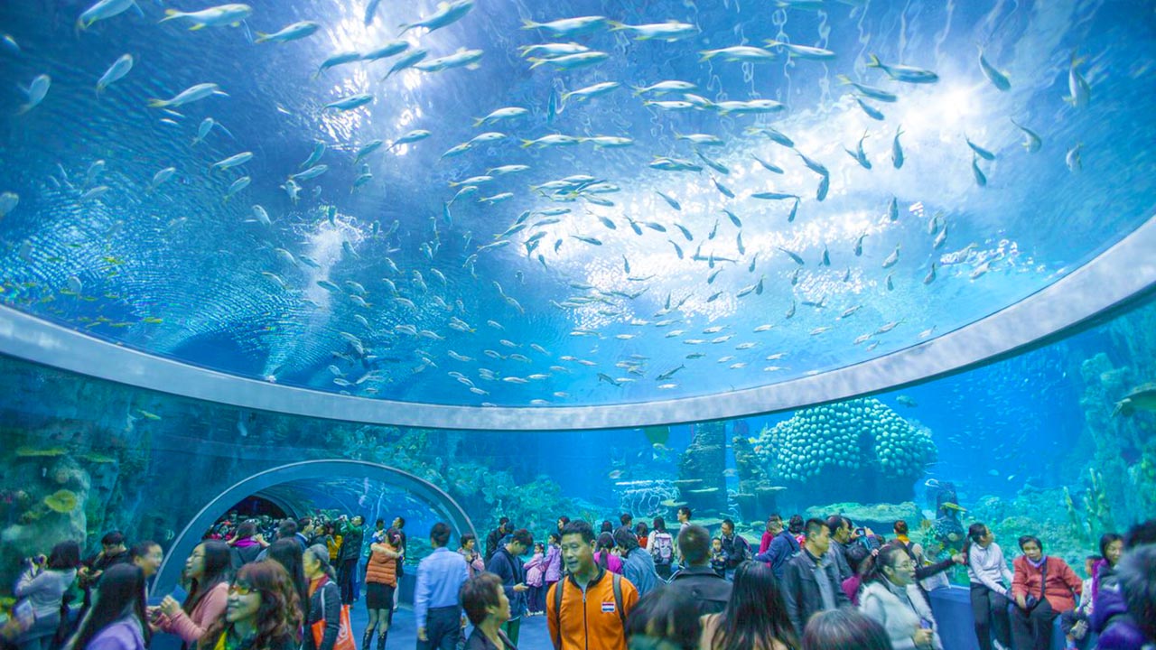 Tour du lịch Nha Trang 3 ngày 3 đêm đón tại Cần Thơ – Trải Nghiệm Phong Cảnh Biển Khơi Và Những Điều Thú Vị Chỉ Có Trong Tour