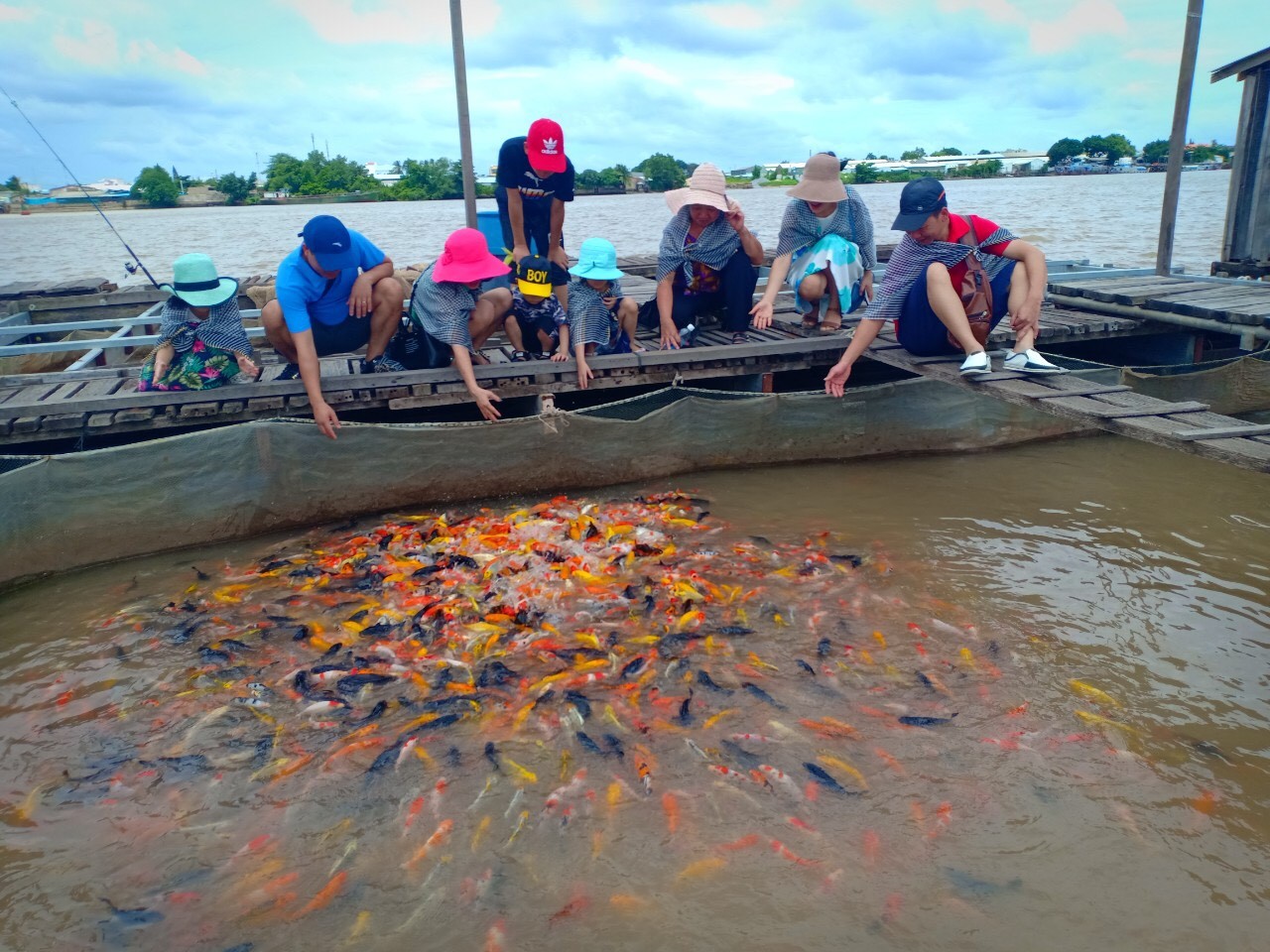 Trải Nghiệm Độc Đáo Với Tour du lịch Cần Thơ 1 ngày – Hành Trình Khám Phá Miền Tây Nồng Nàn